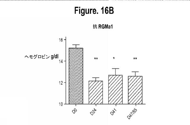 2015502753-鉄関連障害を診断および治療するための組成物および方法 図000043