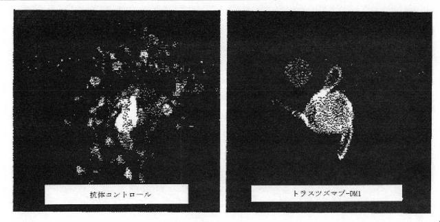 2016510212-バイオミメティック流体プロセスの系および方法 図000043