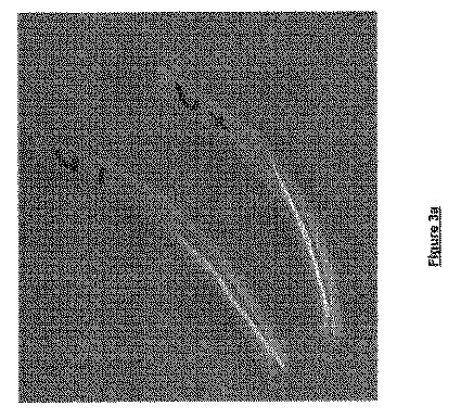 2018516648-止血装置 図000043