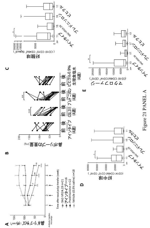 2019500859-ＣＤ１３１結合タンパク質とその利用 図000043