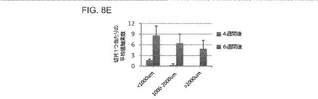 2019517480-脊髄損傷及び疼痛を処置するための抗ＲＧＭａ（Ｒｅｐｕｌｓｉｖｅ  Ｇｕｉｄａｎｃｅ  Ｍｏｌｅｃｕｌｅ  Ａ）アンタゴニスト抗体 図000043