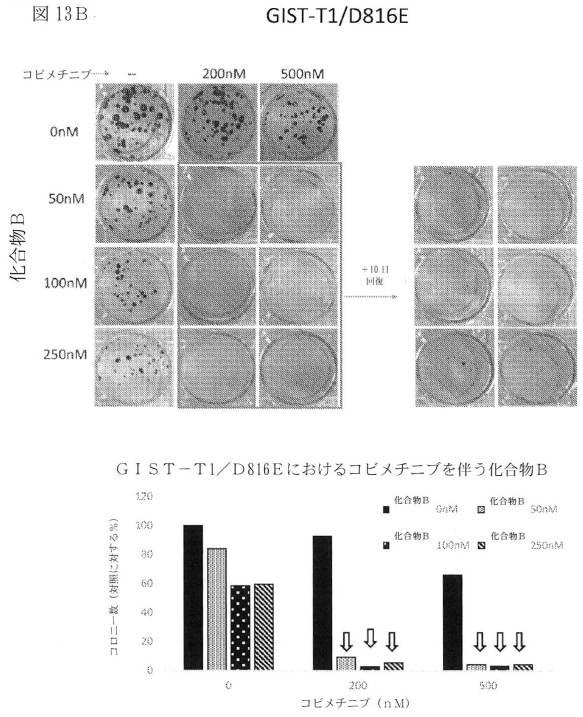 2021512105-消化管間質腫瘍の治療のための併用療法 図000043