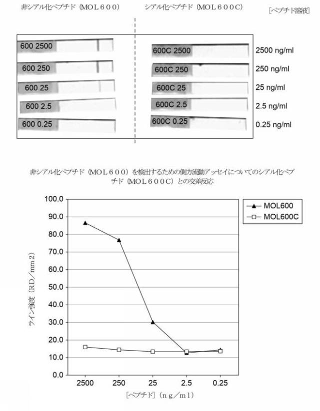 2021531763-細菌性膣炎の診断 図000043