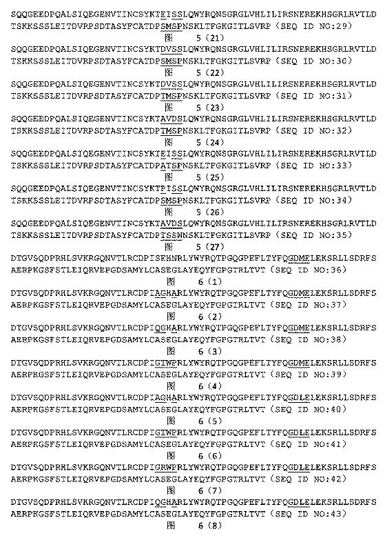 2022502078-ＡＦＰ抗原を識別する高親和性Ｔ細胞受容体 図000043