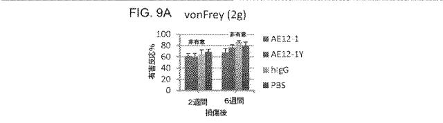 2019517480-脊髄損傷及び疼痛を処置するための抗ＲＧＭａ（Ｒｅｐｕｌｓｉｖｅ  Ｇｕｉｄａｎｃｅ  Ｍｏｌｅｃｕｌｅ  Ａ）アンタゴニスト抗体 図000044