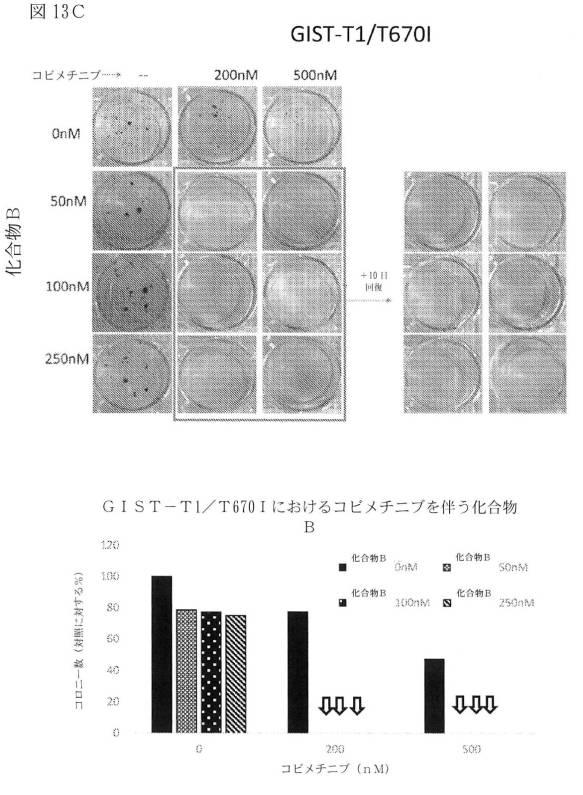 2021512105-消化管間質腫瘍の治療のための併用療法 図000044