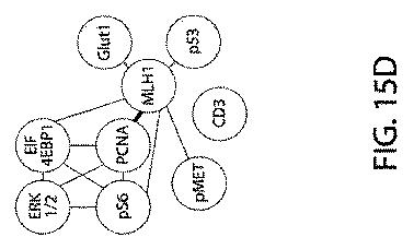 2021525361-空間マルチパラメータ細胞亜細胞画像データからの癌再発の予測 図000044