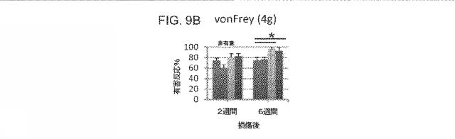 2019517480-脊髄損傷及び疼痛を処置するための抗ＲＧＭａ（Ｒｅｐｕｌｓｉｖｅ  Ｇｕｉｄａｎｃｅ  Ｍｏｌｅｃｕｌｅ  Ａ）アンタゴニスト抗体 図000045