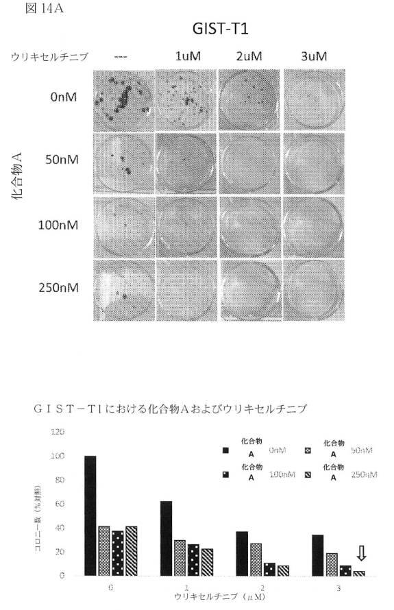 2021512105-消化管間質腫瘍の治療のための併用療法 図000045