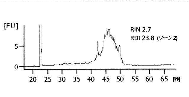 2015519887-ＲＮＡ破壊を評価するためのアッセイ、方法および装置 図000046
