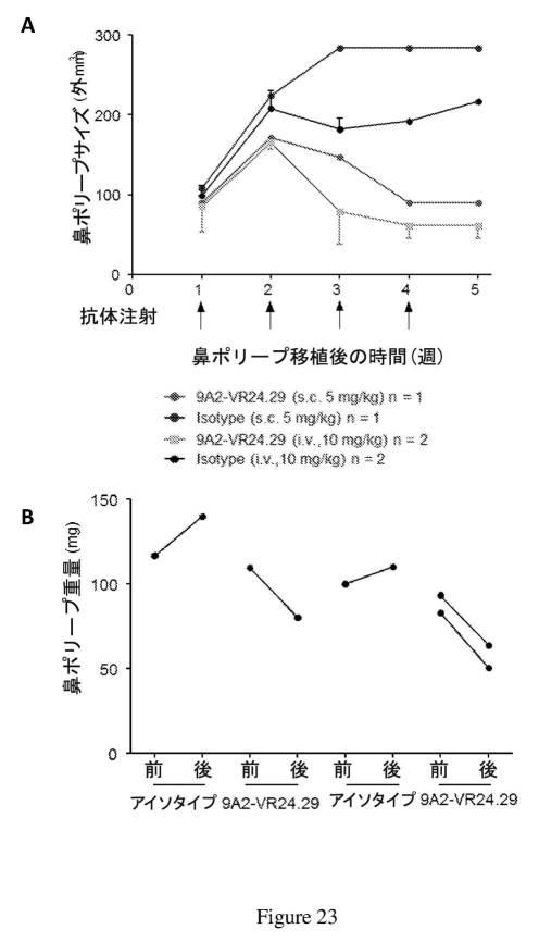 2019500859-ＣＤ１３１結合タンパク質とその利用 図000046