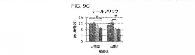 2019517480-脊髄損傷及び疼痛を処置するための抗ＲＧＭａ（Ｒｅｐｕｌｓｉｖｅ  Ｇｕｉｄａｎｃｅ  Ｍｏｌｅｃｕｌｅ  Ａ）アンタゴニスト抗体 図000046