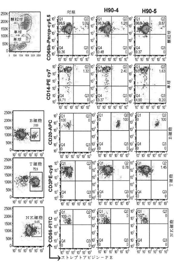 2019525768-ＢＡＦＦ−Ｒ抗体及びその使用 図000046