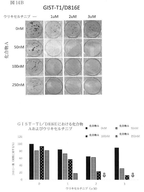 2021512105-消化管間質腫瘍の治療のための併用療法 図000046