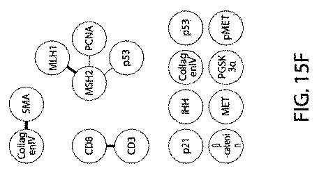 2021525361-空間マルチパラメータ細胞亜細胞画像データからの癌再発の予測 図000046