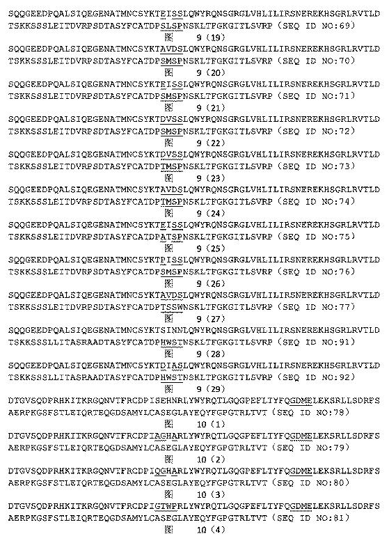 2022502078-ＡＦＰ抗原を識別する高親和性Ｔ細胞受容体 図000046