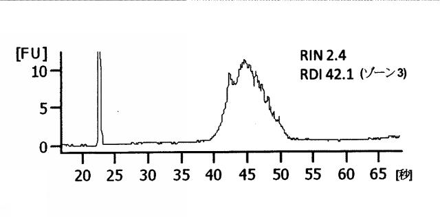 2015519887-ＲＮＡ破壊を評価するためのアッセイ、方法および装置 図000047