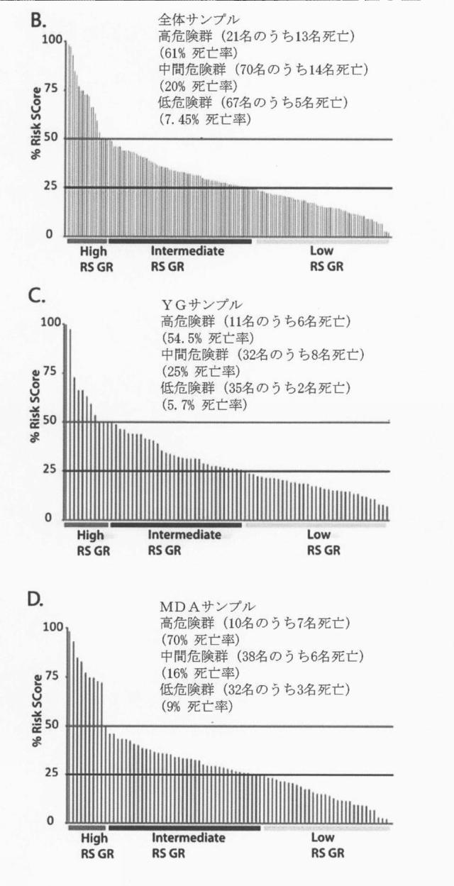 2016516421-局所進行性胃癌に対する予後予測システム 図000047