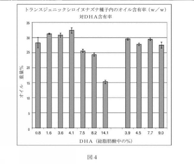 2017503053-長鎖多価不飽和脂肪酸を含む脂質 図000047