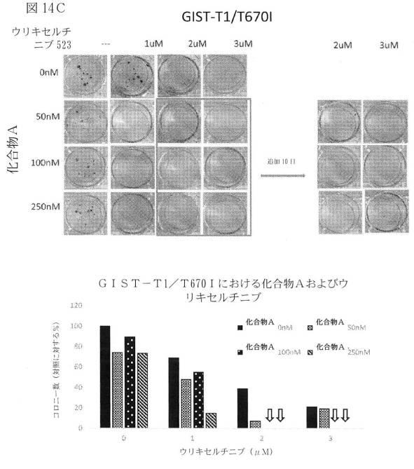 2021512105-消化管間質腫瘍の治療のための併用療法 図000047