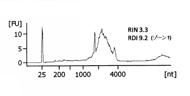 2015519887-ＲＮＡ破壊を評価するためのアッセイ、方法および装置 図000048