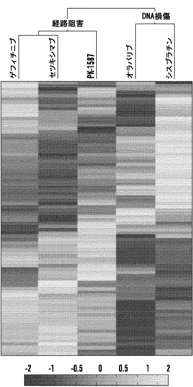 2016525344-標的分子のマルチプレックス検出のための方法、キット、およびシステム、ならびにそれらの使用 図000048