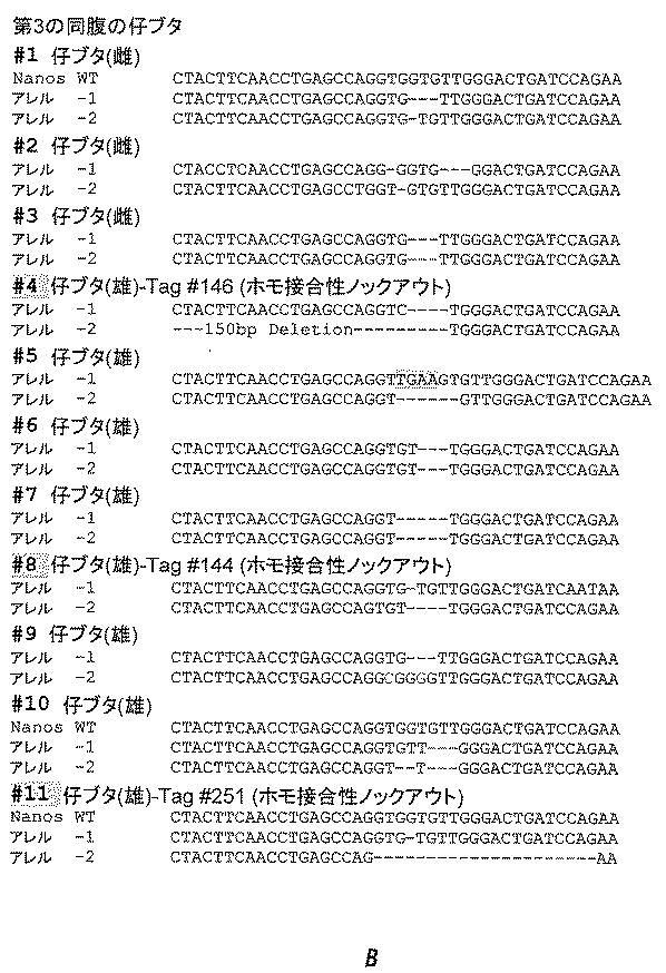 2017521079-生殖系列細胞を切除するＮＡＮＯＳノックアウト 図000048