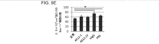 2019517480-脊髄損傷及び疼痛を処置するための抗ＲＧＭａ（Ｒｅｐｕｌｓｉｖｅ  Ｇｕｉｄａｎｃｅ  Ｍｏｌｅｃｕｌｅ  Ａ）アンタゴニスト抗体 図000048