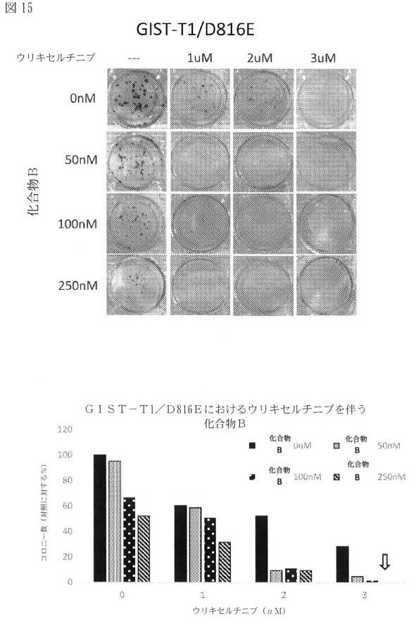 2021512105-消化管間質腫瘍の治療のための併用療法 図000048