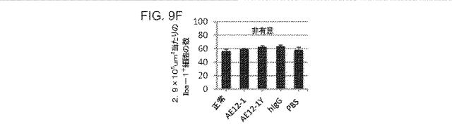 2019517480-脊髄損傷及び疼痛を処置するための抗ＲＧＭａ（Ｒｅｐｕｌｓｉｖｅ  Ｇｕｉｄａｎｃｅ  Ｍｏｌｅｃｕｌｅ  Ａ）アンタゴニスト抗体 図000049