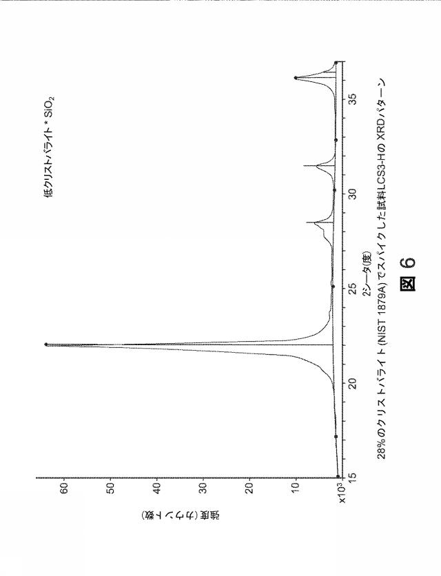 2020504003-超高性能かつ高純度な生物起源シリカ濾過媒体 図000049
