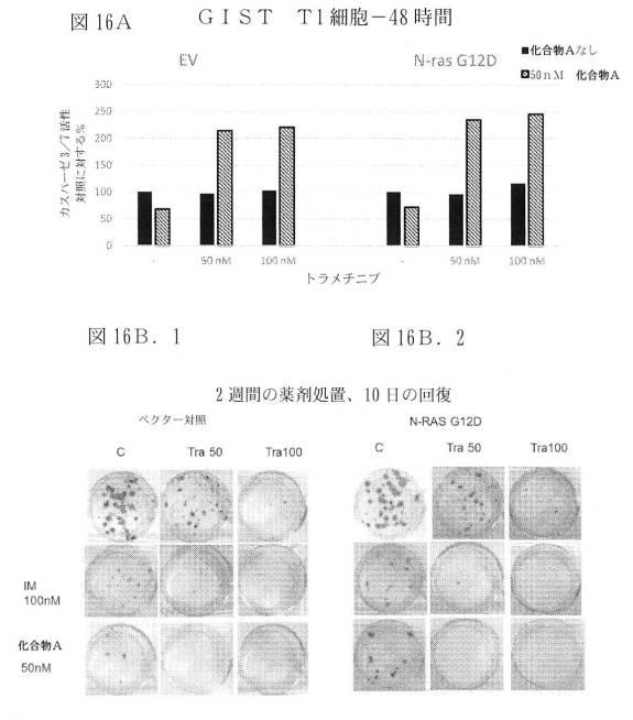 2021512105-消化管間質腫瘍の治療のための併用療法 図000049