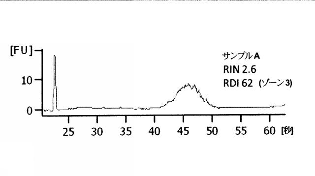 2015519887-ＲＮＡ破壊を評価するためのアッセイ、方法および装置 図000050