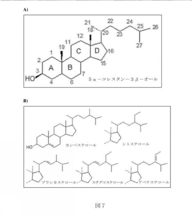 2017503053-長鎖多価不飽和脂肪酸を含む脂質 図000050