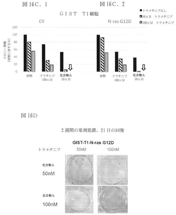 2021512105-消化管間質腫瘍の治療のための併用療法 図000050