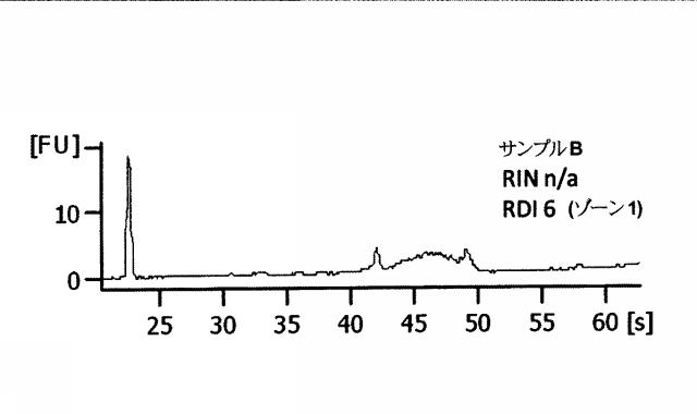 2015519887-ＲＮＡ破壊を評価するためのアッセイ、方法および装置 図000051