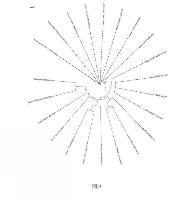 2017503053-長鎖多価不飽和脂肪酸を含む脂質 図000051