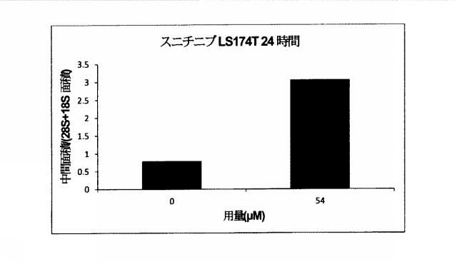 2015519887-ＲＮＡ破壊を評価するためのアッセイ、方法および装置 図000052