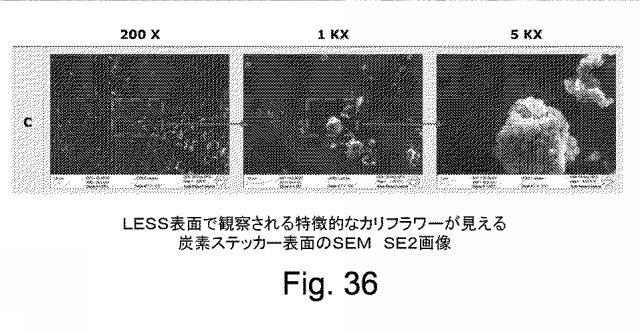 2018524182-光電子収率および／または二次電子収率を低減する方法および装置 図000052