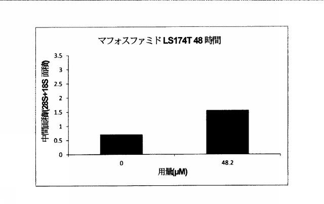 2015519887-ＲＮＡ破壊を評価するためのアッセイ、方法および装置 図000053