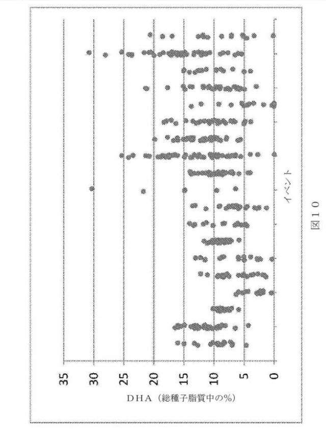 2017503053-長鎖多価不飽和脂肪酸を含む脂質 図000053