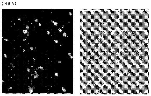 2018532404-リボ核タンパク質トランスフェクション薬剤 図000053