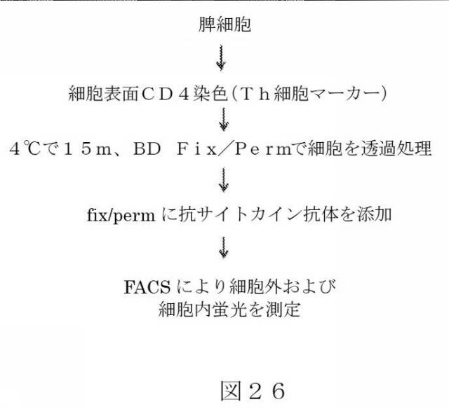 2015504898-第ＶＩＩＩ因子療法を受けている個体における第ＶＩＩＩ因子に対する免疫原性を低下させる方法 図000054