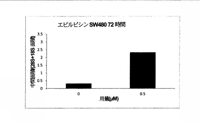 2015519887-ＲＮＡ破壊を評価するためのアッセイ、方法および装置 図000054