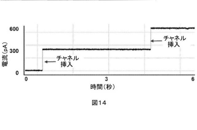 2021514189-ナノ細孔アセンブリとその使用 図000054