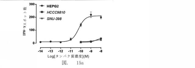 2022502078-ＡＦＰ抗原を識別する高親和性Ｔ細胞受容体 図000054