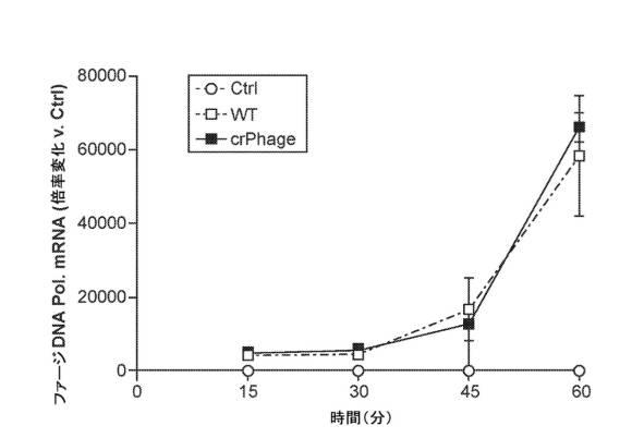2021525105-標的細菌を死滅させるための方法および組成物 図000055