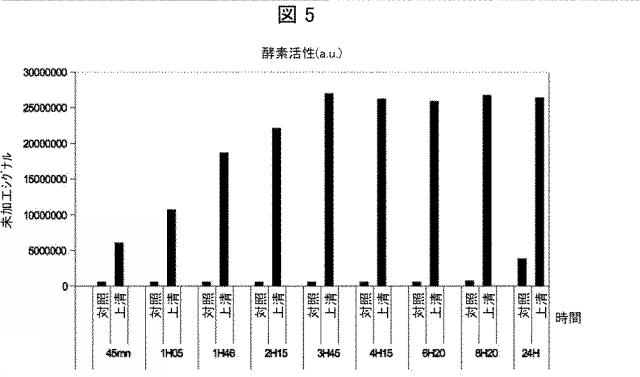 2020502127-蛍光発生グリコシダーゼ基質および関連する検出方法 図000057