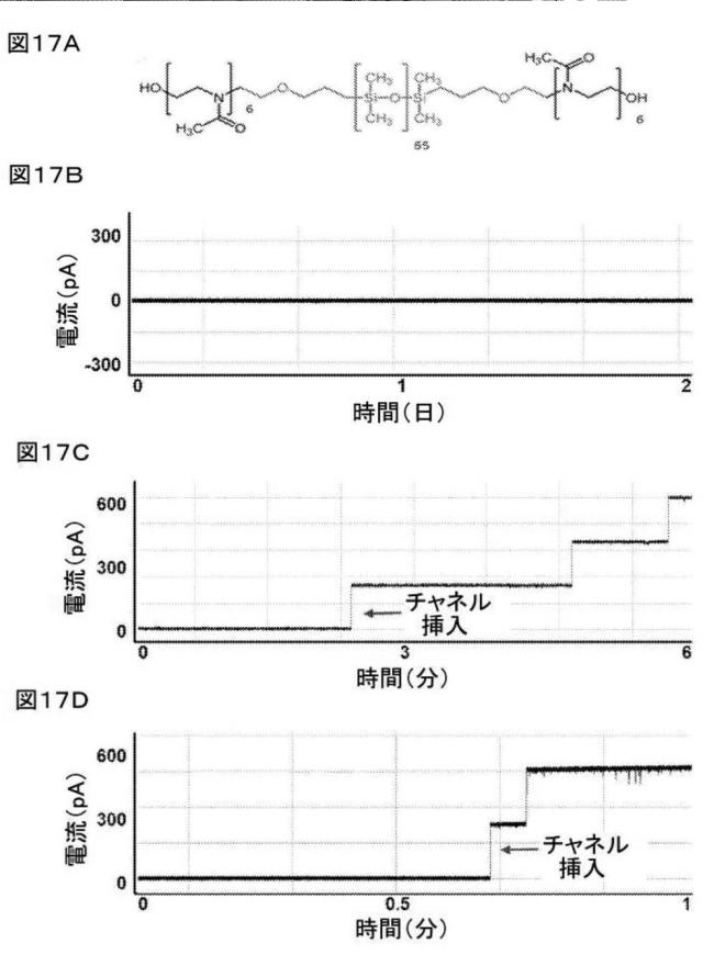 2021514189-ナノ細孔アセンブリとその使用 図000057