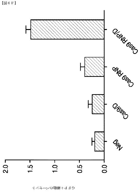 2018532404-リボ核タンパク質トランスフェクション薬剤 図000058